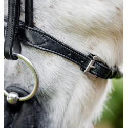 Cavezzone per pony Horseware Cavesson Nero