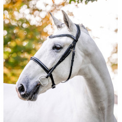 Capezzina Horseware Cavesson Nero