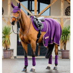 Fasce da polo Horseware Amigo Winterberry Viola