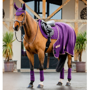 Fasce da polo Horseware Amigo Winterberry Viola