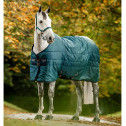 Coperta da scuderia Horseware Amigo Ripstop Insulator 50g Verde dinastia / blu marine / argento