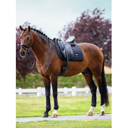 Tappetino da dressage Equestrian Stockholm Performance Nero