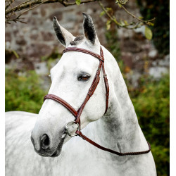 Briglia Horseware Cavesson Hunter con redini Marrone