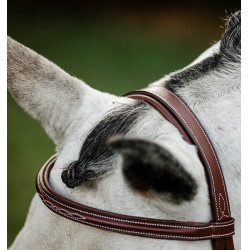 Briglia Horseware Cavesson Hunter con redini Marrone