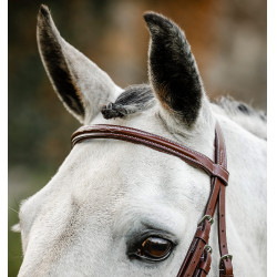 Briglia Horseware Cavesson Hunter con redini Marrone