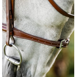 Briglia Horseware Cavesson Hunter con redini Marrone