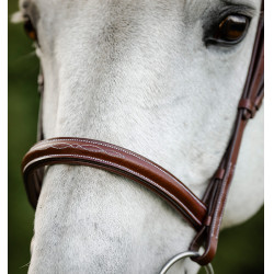 Briglia Horseware Cavesson Hunter con redini Marrone