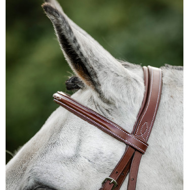 Briglia Horseware Cavesson Hunter con redini Marrone