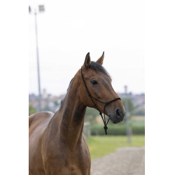 Capestro in corda First Nero