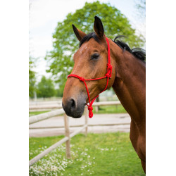 Capestro in corda First Rosso Capestro in corda First Rosso