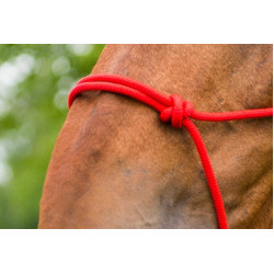 Capestro in corda First Rosso Capestro in corda First Rosso