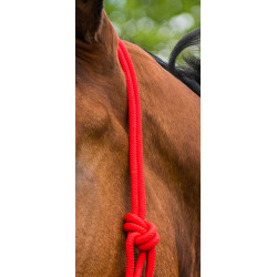 Capestro in corda First Rosso Capestro in corda First Rosso
