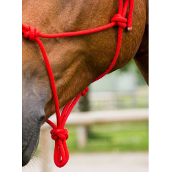 Capestro in corda First Rosso Capestro in corda First Rosso