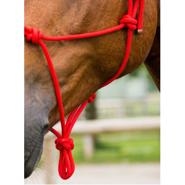 Capestro in corda First Rosso Capestro in corda First Rosso