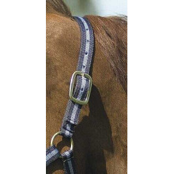 Capestro in nylon foderato in cuoio Norton Marina / cielo Blu