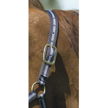 Capestro in nylon foderato in cuoio Norton Marina / cielo Blu