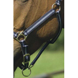 Capestro in nylon foderato in cuoio Norton Marina / cielo Blu