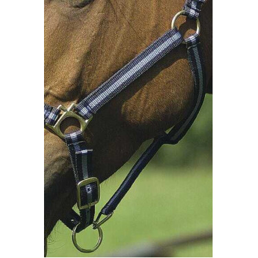 Capestro in nylon foderato in cuoio Norton Marina / cielo Blu