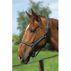 Capestro in nylon foderato in cuoio Norton Marina / cielo Blu