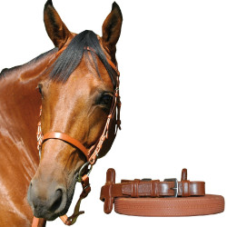 Testiera da corsa Canter