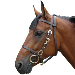 Cavezza larga con redini Canter