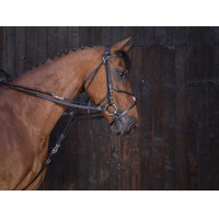 Redini di gogue in cuoio Riding World Avana Marrone