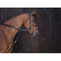 Redini di gogue in cuoio Riding World Nero