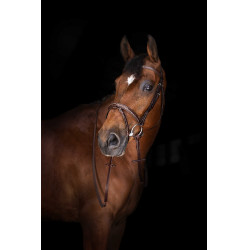 Redini Hunter Eric Thomas Elite 16 mm Avana Marrone Redini Hunter Eric Thomas Elite 16 mm Avana Marrone