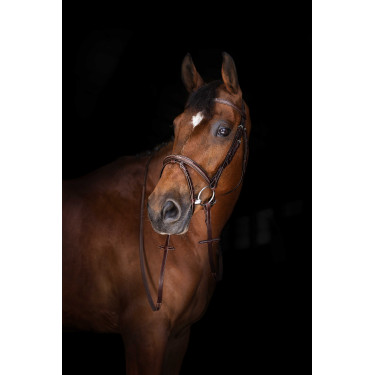 Redini Hunter Eric Thomas Elite 16 mm Avana Marrone Redini Hunter Eric Thomas Elite 16 mm Avana Marrone