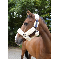 Capezzina Equithème Teddy Verde / marrone Capezzina Equithème Teddy Verde / marrone