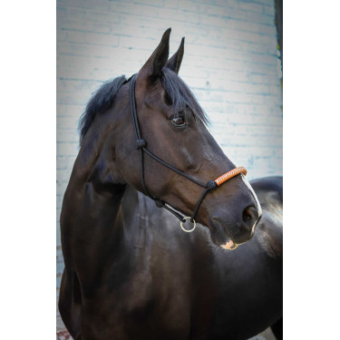 Capestro etologico Pénélope americano Nero