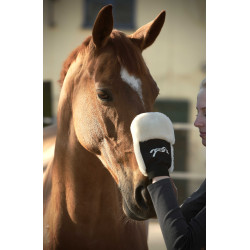 Guanto per la strigliatura Pénélope Nero