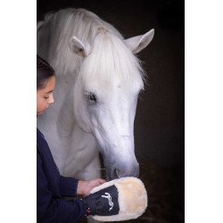 Guanto per la strigliatura Pénélope Nero