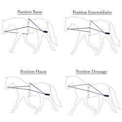 Redini ausiliarie Privilege corda Privilege Equitazione