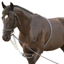 Enrenamento Soft Rope Canter