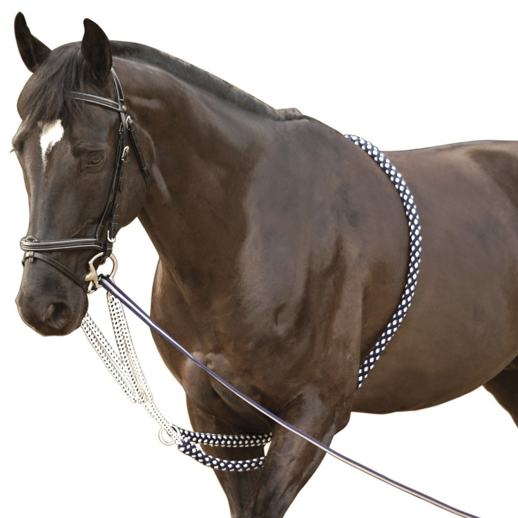 Enrenamento Soft Rope Canter