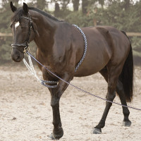 Enrenamento Soft Rope Canter Marino / bianco Blu Enrenamento Soft Rope Canter Marino / bianco Blu