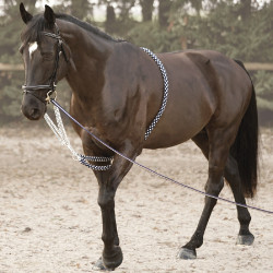 Enrenamento Soft Rope Canter Enrenamento Soft Rope Canter