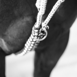 Enrenamento Soft Rope Canter Enrenamento Soft Rope Canter