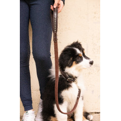 Lascia cane Pénélope Rubber Avana Marrone