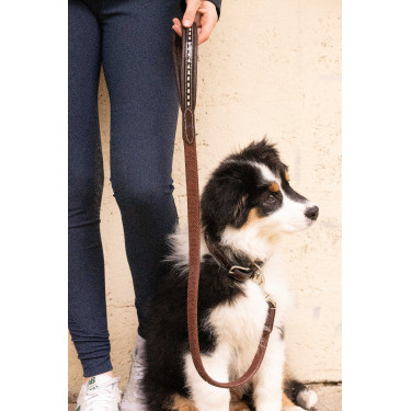 Lascia cane Pénélope Rubber Avana Marrone