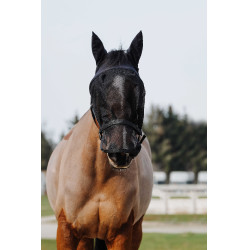 Capezza + maschera Equithème Nero