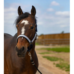 Capestro Equithème Nylon Check Blu navy / nero