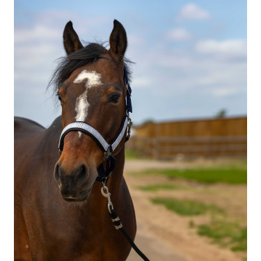 Capestro Equithème Nylon Check Blu navy / nero