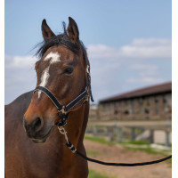 Capezzina Equithème Nylon light Blu navy