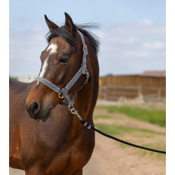 Capezzina Equithème Nylon light Grigio