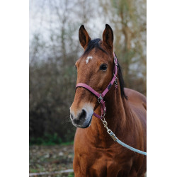 Capestro in nylon Spring Equithème Rosa Capestro in nylon Spring Equithème Rosa