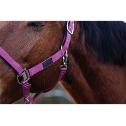 Capestro in nylon Spring Equithème Rosa Capestro in nylon Spring Equithème Rosa