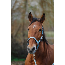 Capestro in nylon Spring Equithème Turchese Blu