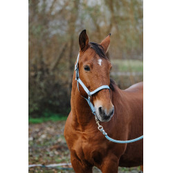 Capestro in nylon Spring Equithème Turchese Blu